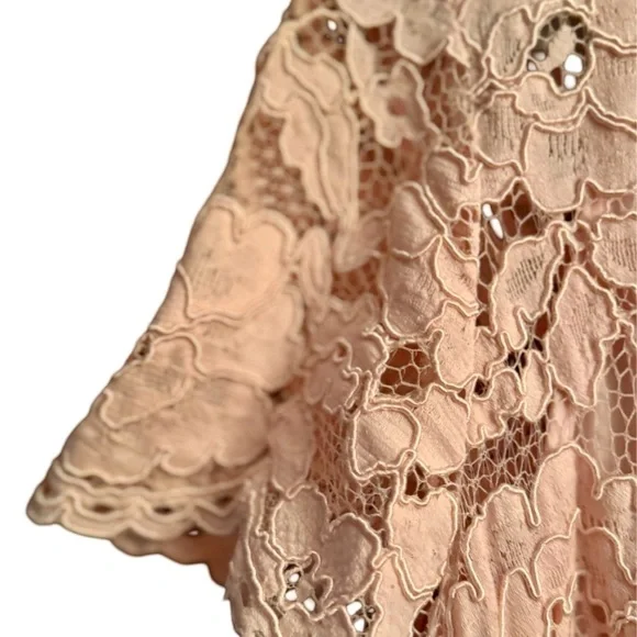 Lauren Ralph Lauren Pale Pink Lace Dress Sz 16 - Picture 3 of 5